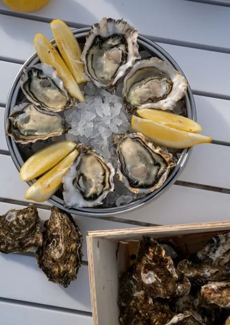 Oysters on Hobart food tour